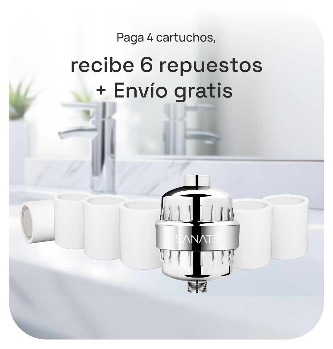 4 pack Shower Filter Replacement NO subscription