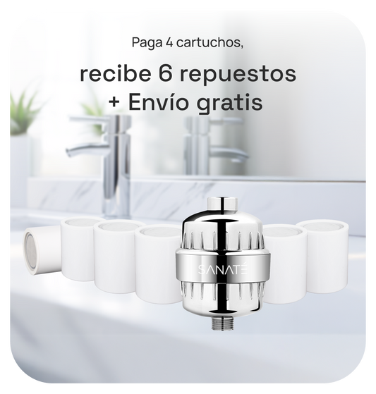 4 pack Shower Filter Replacement NO subscription
